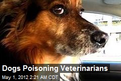 Dogs Poisoning Veterinarians