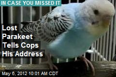 Lost Parakeet Tells Cops His Address