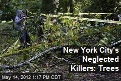 New York City&#39;s Neglected Killers: Trees