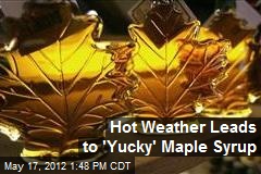 Hot Weather Leads to &#39;Yucky&#39; Maple Syrup