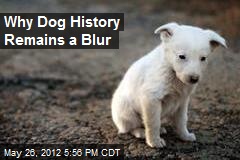 Why Dog History Remains a Blur
