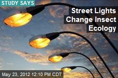 Street Lights Change Insect Ecology