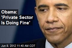 Obama: &#39;Private Sector Is Doing Fine&#39;