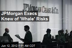 JPMorgan Execs Knew of &#39;Whale&#39; Risks