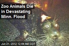 Zoo Animals Die in Devastating Minn. Flood