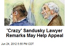 &#39;Crazy&#39; Sandusky Lawyer Remarks May Help Appeal