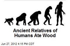 Ancient Relatives of Humans Ate Wood