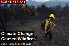 Climate Change Caused Wildfires
