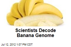 Scientists Decode Banana Genome