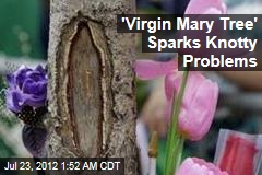 &#39;Virgin Mary Tree&#39; Sparks Knotty Problems