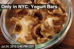 Only in NYC: Yogurt Bars