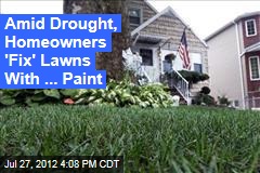 Amid Drought, Homeowners &#39;Fix&#39; Lawns With ... Paint