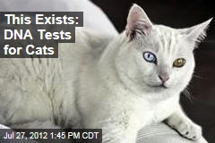 This Exists: DNA Tests for Cats