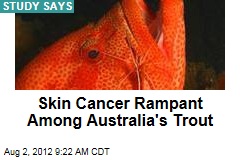 Skin Cancer Rampant Among Australia&#39;s Trout