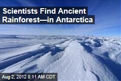 Scientists Find Ancient Rainforest&mdash;in Antarctica