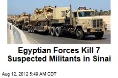 Egyptian Forces Kill 7 Suspected Militants in Sinai