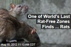 One of World&#39;s Last Rat-Free Zones Finds ... Rats