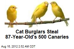 Cat Burglars Steal 87-Year-Old&#39;s 500 Canaries