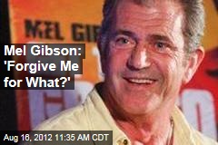 Mel Gibson: &#39;Forgive Me for What?&#39;