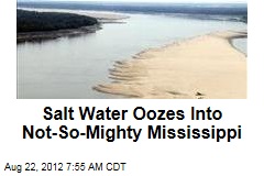 Salt Water Oozes Into Not-So-Mighty Mississippi