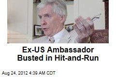 Ex-US Ambassador to Afghanistan Busted in Hit-and-Run