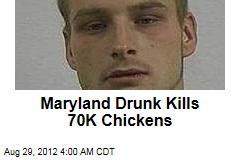 Maryland Drunk Kills 70K Chickens
