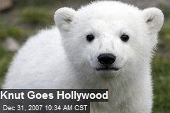 Knut Goes Hollywood