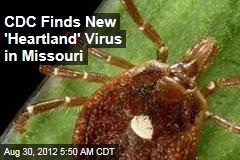CDC Finds New &#39;Heartland&#39; Virus in Missouri
