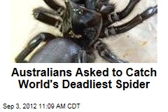 Australians Asked to Catch World&#39;s Deadliest Spider