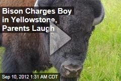 Bison Charges Kid in Yellowstone
