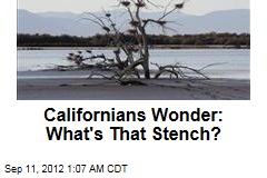 Californians Wonder: What&#39;s That Stench?
