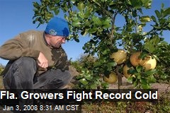 Fla. Growers Fight Record Cold