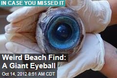 Weird Beach Find: A Giant Eyeball