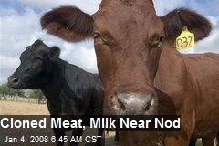 Cloned Meat, Milk Near Nod