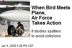 When Bird Meets Plane, Air Force Takes Action