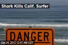 Shark Kills Calif. Surfer