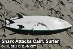 Shark Attacks Calif. Surfer