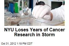 NYU Loses Years of Cancer Research in Storm