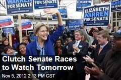 Clutch Senate Races to Watch Tomorrow