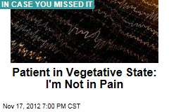 Patient in Vegetative State: I&#39;m Not in Pain