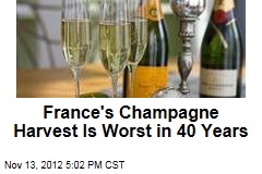 France&#39;s Champagne Harvest Is Worst in 40 Years