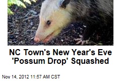 NC Town&#39;s New Year&#39;s Eve &#39;Possum Drop&#39; Squashed