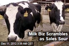 Sales Crisis Shakes Milk Biz