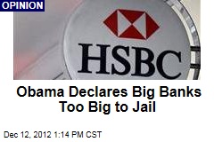 Obama Declares Big Banks Too Big to Jail