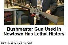 Bushmaster Gun Used in Newtown Has Lethal History