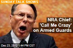 NRA Chief: Assault Gun Ban Is &#39;Phony Legislation&#39;