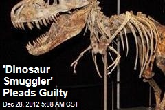 Florida Man Pleads Guilty to Dinosaur Smuggling