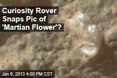 Curiosity Rover Snaps Pic of &#39;Martian Flower&#39;?