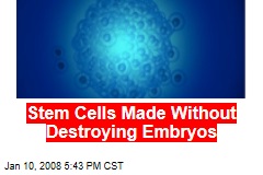 Stem Cells Made Without Destroying Embryos