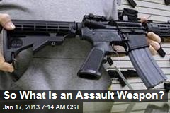 So What Is an Assault Weapon?